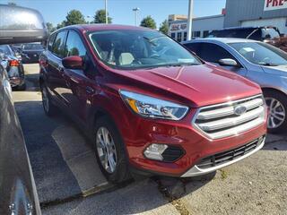 2019 Ford Escape for sale in Clarksville TN