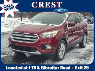 2017 Ford Escape for sale in Flat Rock MI