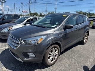 2019 Ford Escape for sale in Knoxville TN