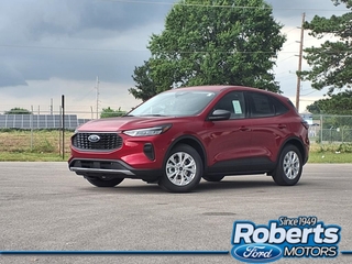 2025 Ford Escape for sale in Alton IL