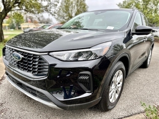 2024 Ford Escape for sale in Louisville KY