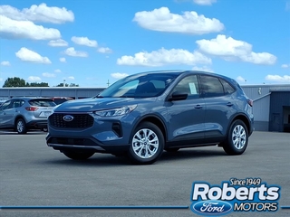 2025 Ford Escape for sale in Alton IL