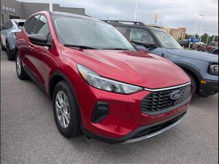2025 Ford Escape for sale in Bowling Green KY
