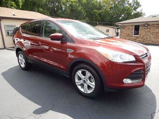 2014 Ford Escape for sale in Murfreesboro TN