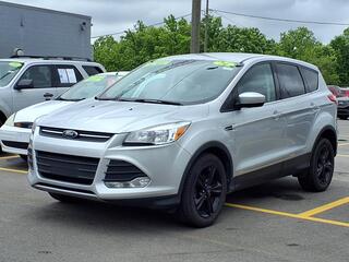 2014 Ford Escape for sale in Woodhaven MI