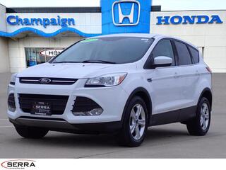 2014 Ford Escape for sale in Savoy IL