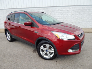 2014 Ford Escape for sale in Clarksville TN