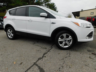 2014 Ford Escape for sale in Clarksville TN