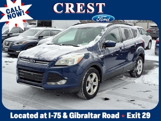 2014 Ford Escape for sale in Flat Rock MI