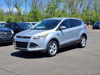2014 Ford Escape for sale in Wayne MI