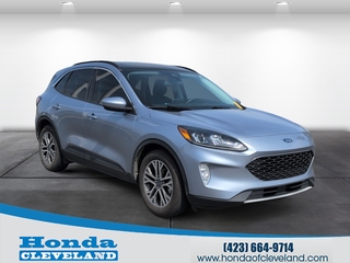 2022 Ford Escape for sale in Cleveland TN