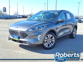 2022 Ford Escape for sale in Alton IL