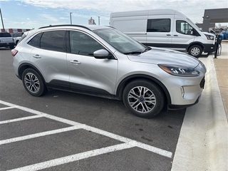 2020 Ford Escape for sale in Dallas TX