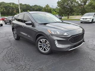 2020 Ford Escape for sale in Clarksville TN