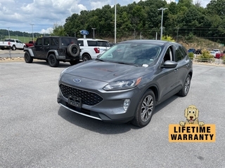 2022 Ford Escape for sale in Bristol TN