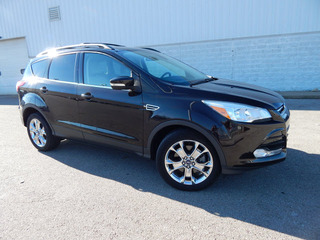 2013 Ford Escape for sale in Clarksville TN