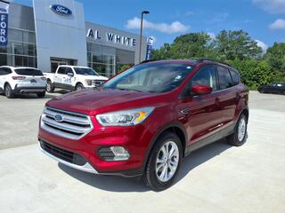 2019 Ford Escape for sale in Manchester TN