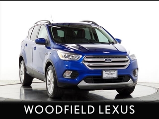 2019 Ford Escape for sale in Schaumburg IL