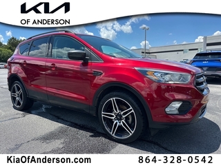 2019 Ford Escape for sale in Pendleton SC