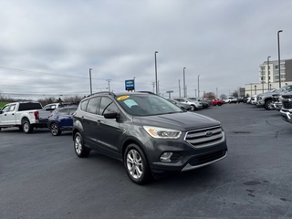 2019 Ford Escape for sale in Knoxville TN
