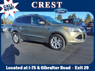 2013 Ford Escape for sale in Flat Rock MI