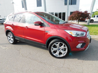 2019 Ford Escape for sale in Clarksville TN