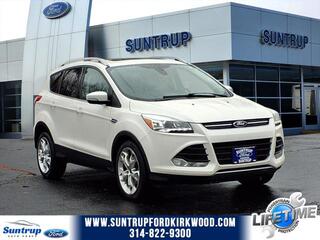 2014 Ford Escape for sale in Kirkwood MO