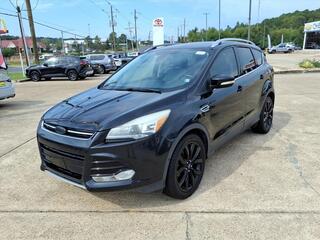 2015 Ford Escape for sale in Muskegon MI