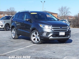 2019 Ford Escape for sale in Carol Stream IL