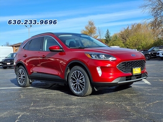 2022 Ford Escape Plug-In Hybrid for sale in Carol Stream IL