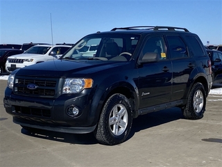 2009 Ford Escape Hybrid