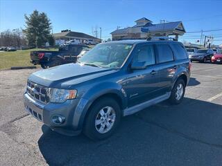 2011 Ford Escape Hybrid for sale in Mt. Juliet TN