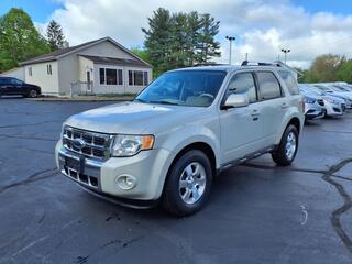 2009 Ford Escape for sale in Cortland OH