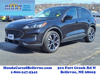 2022 Ford Escape Hybrid