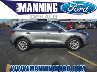 2022 Ford Escape Hybrid for sale in Des Plaines IL