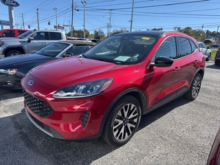 2020 Ford Escape Hybrid for sale in Knoxville TN