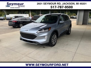 2022 Ford Escape Hybrid for sale in Jackson MI