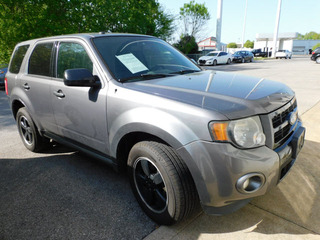 2011 Ford Escape for sale in Clarksville TN