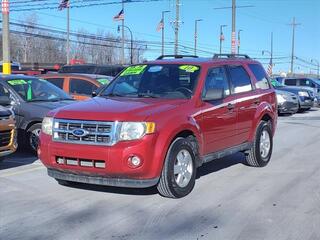 2010 Ford Escape for sale in Woodhaven MI