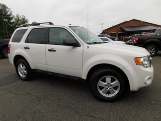 2011 Ford Escape for sale in Clarksville TN