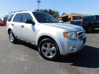 2010 Ford Escape for sale in Clarksville TN