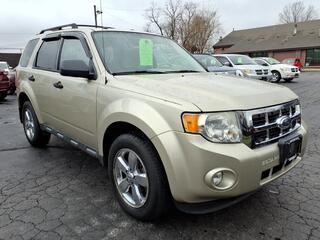 2011 Ford Escape for sale in Belvidere IL