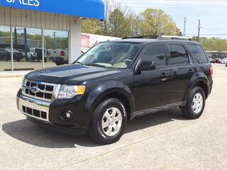 2012 Ford Escape for sale in Dickson TN