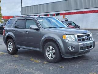 2011 Ford Escape for sale in Brighton MI