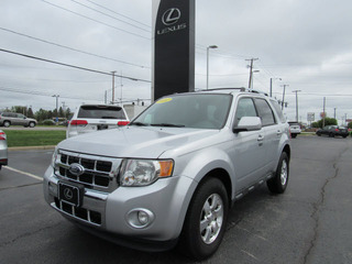 2012 Ford Escape for sale in Toledo OH