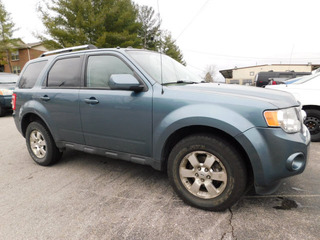 2011 Ford Escape for sale in Clarksville TN