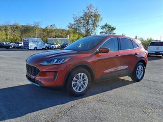 2020 Ford Escape for sale in Johnson City TN