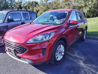 2020 Ford Escape for sale in Roanoke VA