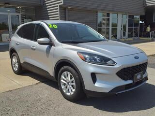 2020 Ford Escape for sale in Bowling Green KY