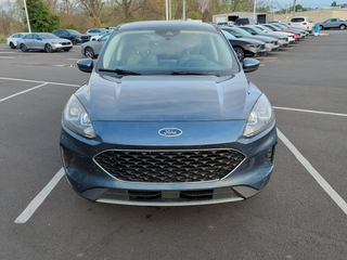 2020 Ford Escape for sale in Johnson City TN